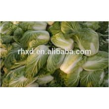 top quality fresh celery cabbage